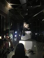 Schulklasse mit Taschenlampen nachts im Museum. Vitrine mit Ausstellungstück Puma.