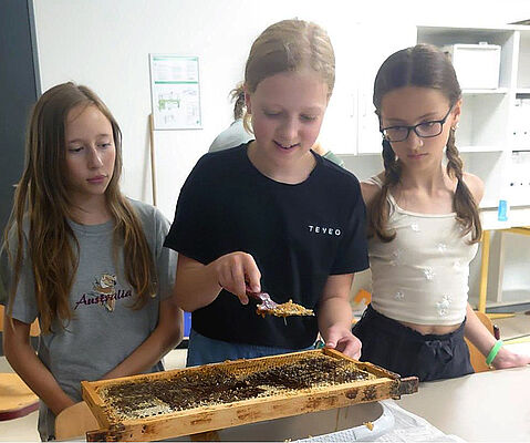 Honigfrühstück der Klasse 5a