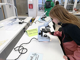 Tag der offenen Tür Realschuhe Remshalden, Mädchen über Mikroskop gebeugt